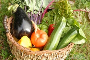 Les labels de l'alimentation biologique