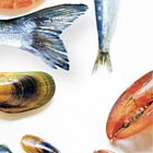 Poissons frais de saison