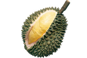 durian