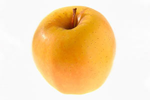 pomme Golden