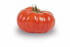 tomate marmande