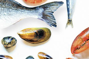 Poissons frais de saison