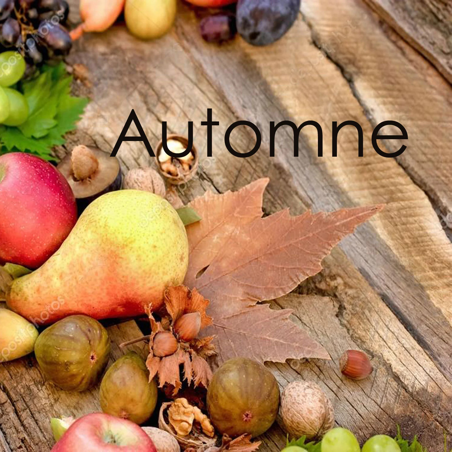 Recettes d'automne