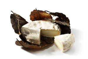 banon de Provence