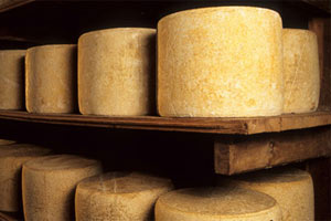 cantal