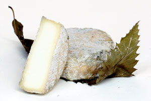 cendré de Niort