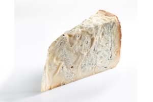 gorgonzola