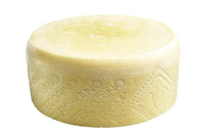 pecorino