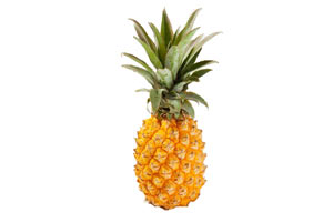 ananas