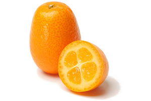 kumquat