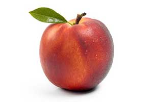 nectarine