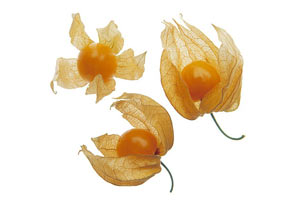 physalis