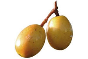 prune de Cythère