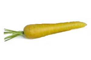 carotte jaune