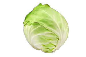 chou blanc