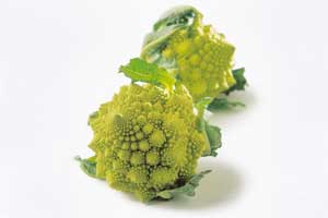 chou Romanesco