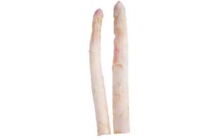 asperge blanche