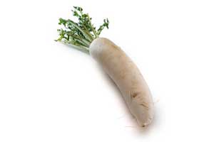 daikon