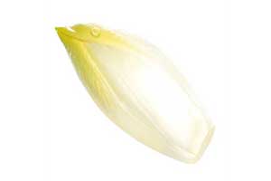 endive jaune