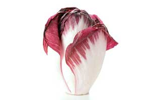 endive rouge