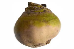 rutabaga