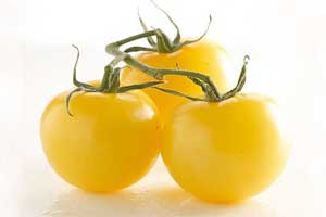 tomate jaune
