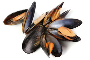 moule